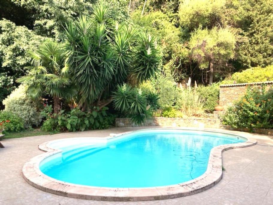 a large blue swimming pool in a yard with trees at Casa Galli- Belle villa coeur de ville avc piscine in Bastia