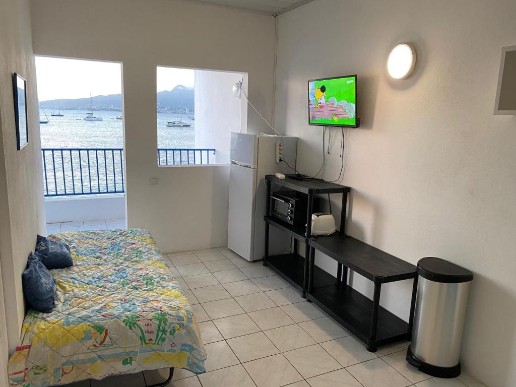 TV a/nebo společenská místnost v ubytování Appartements les pieds dans l'eau