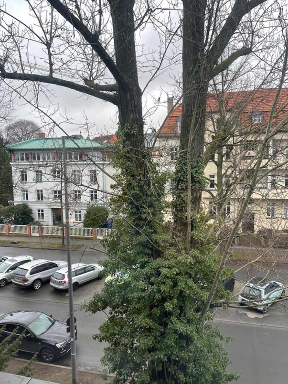 COSY PANKOW HOMES - Studios mit TV Stick - 6