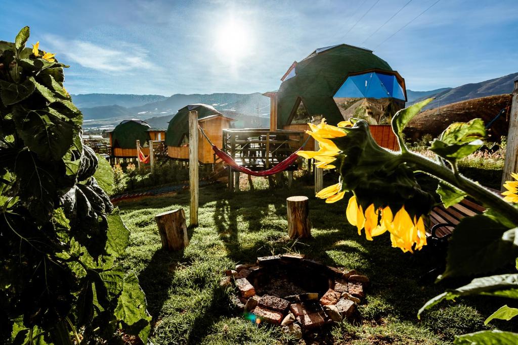 a view of a garden with a sunflower at Los Nopales Glamping in Sáchica