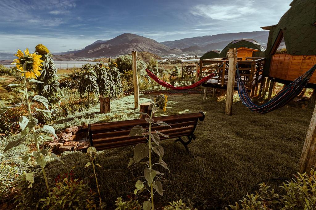 a bench and hammocks in a field with a sunflower at Los Nopales Glamping in Sáchica