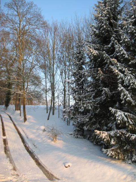 a snow covered forest with trees and a snow covered road at Maison de vacances _ Le Bas Manoir in Bretteville-sur-Odon