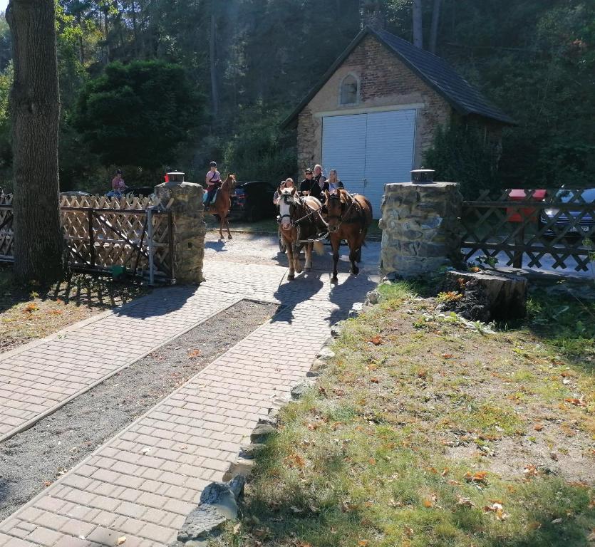 Zvířata v penzionu nebo okolí
