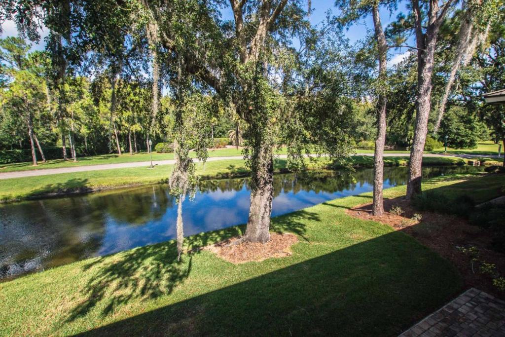 a pond in a park with trees and grass at Golf & Tennis Community - Lakeview Oasis in Wesley Chapel