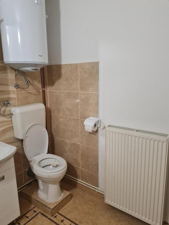 Kúpeľňa v ubytovaní Apartman Nika