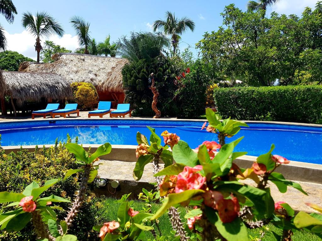 una piscina in un giardino con sedie e fiori di Solazul a Las Galeras