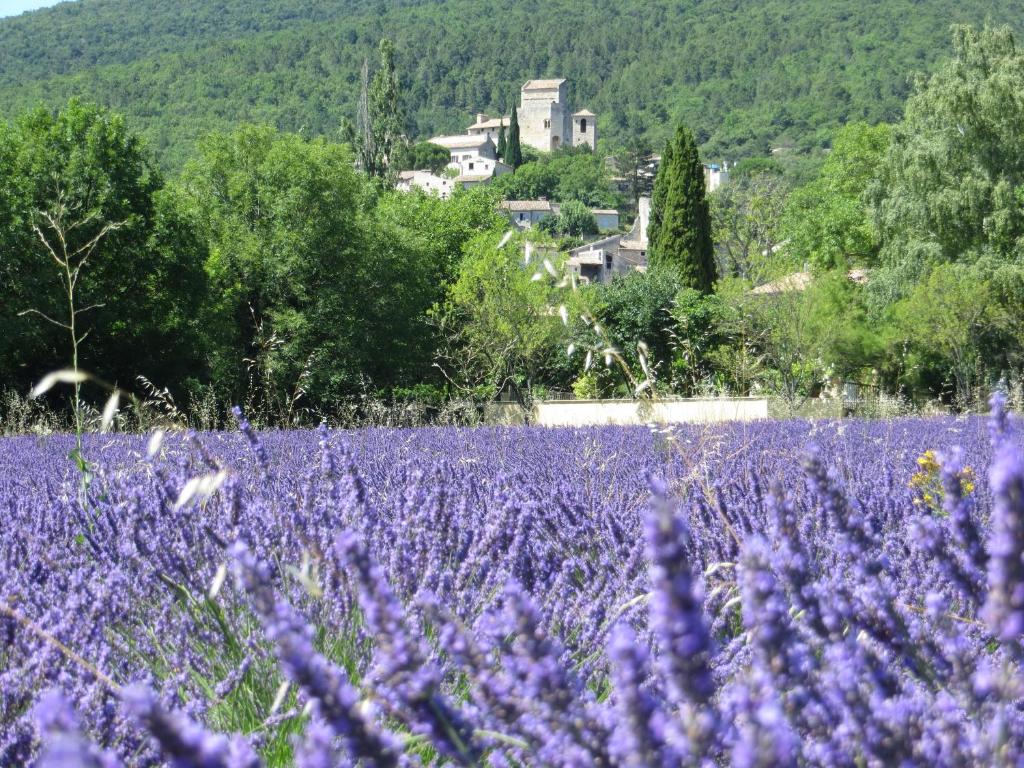 un campo de flores púrpuras con una ciudad en el fondo en Le Mas des Restanques, en Le Poët-Laval