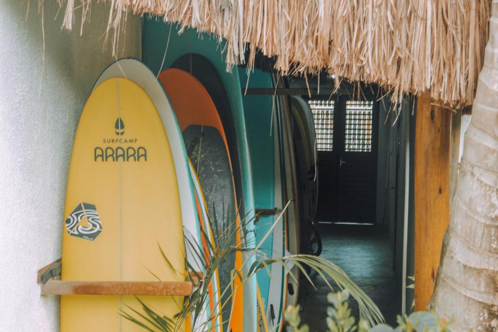 Fotografie z fotogalerie ubytování Surfcamp Arara v destinaci Pipa