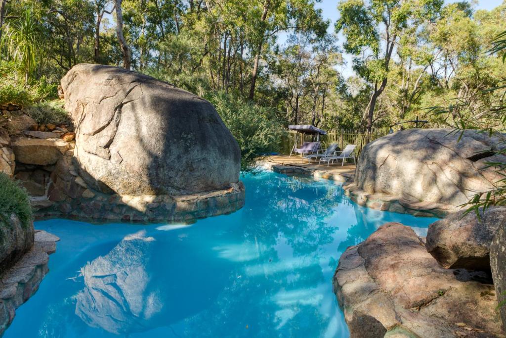A Paradise for Dogs and A Magical Retreat for Hoomans - Housity