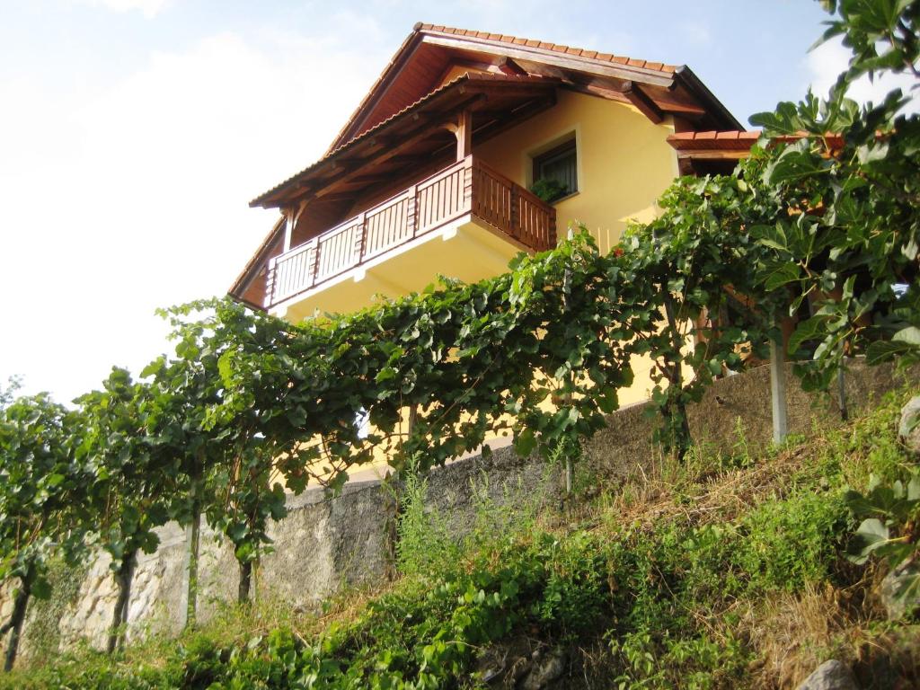 a house on top of a hill with vines at Vineyard Cottage Ucman in Otočec