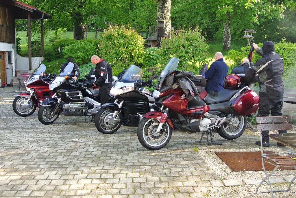 Hosté ubytování Zwieseler Waldhaus