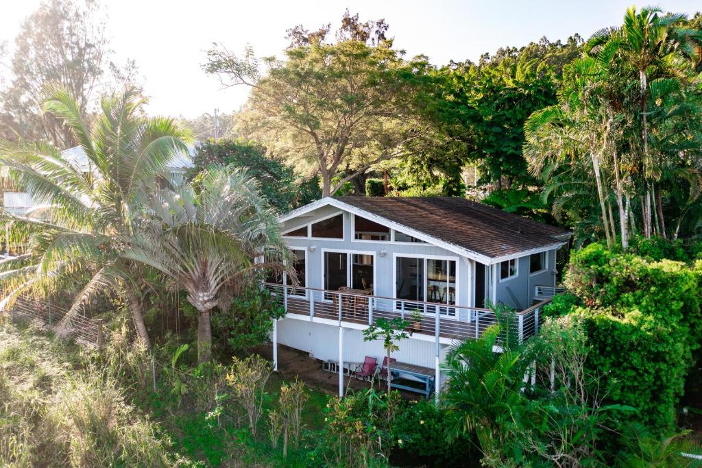 a house in the middle of the forest at Waipio Glass House in Kukuihaele