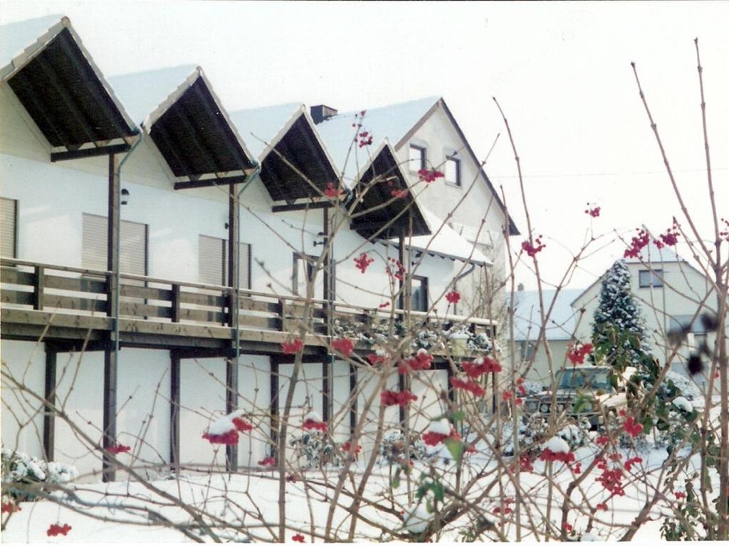 a building with snow on it with a christmas tree at Kircheiber Hof in Kircheib