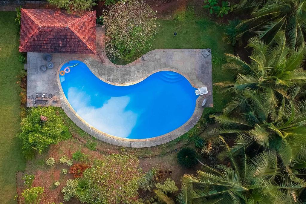 an overhead view of a swimming pool in a yard at Villa Amaaya - The Hidden Gem by StayVista in Alibaug