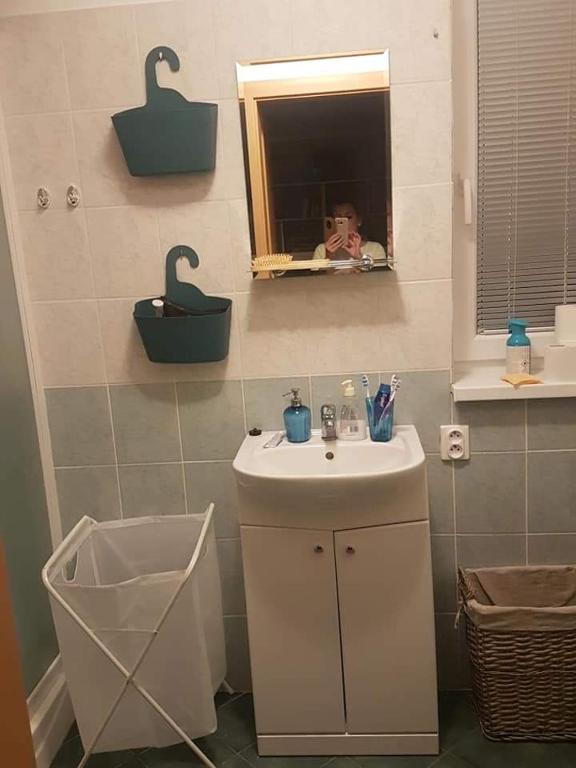 Koupelna v ubytování Apartman BibKa