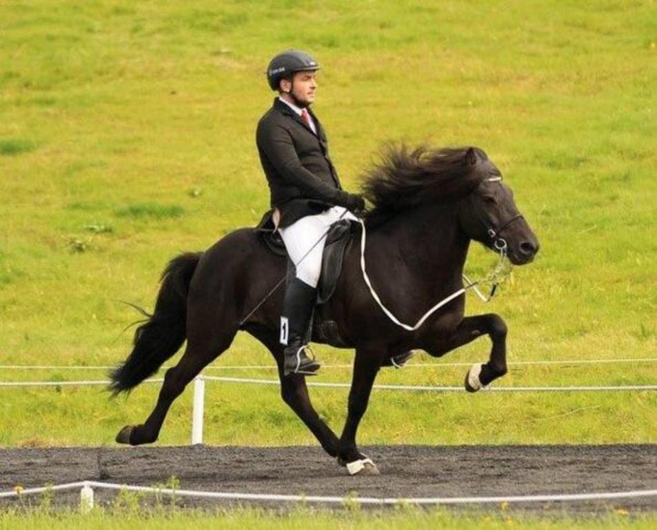 uma mulher montada num cavalo numa pista em Margrétarhof em Hella