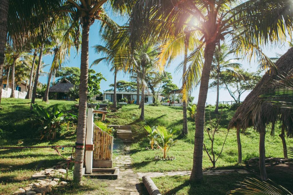 a path through a field with palm trees at Nimbu Beachhouse in Transito