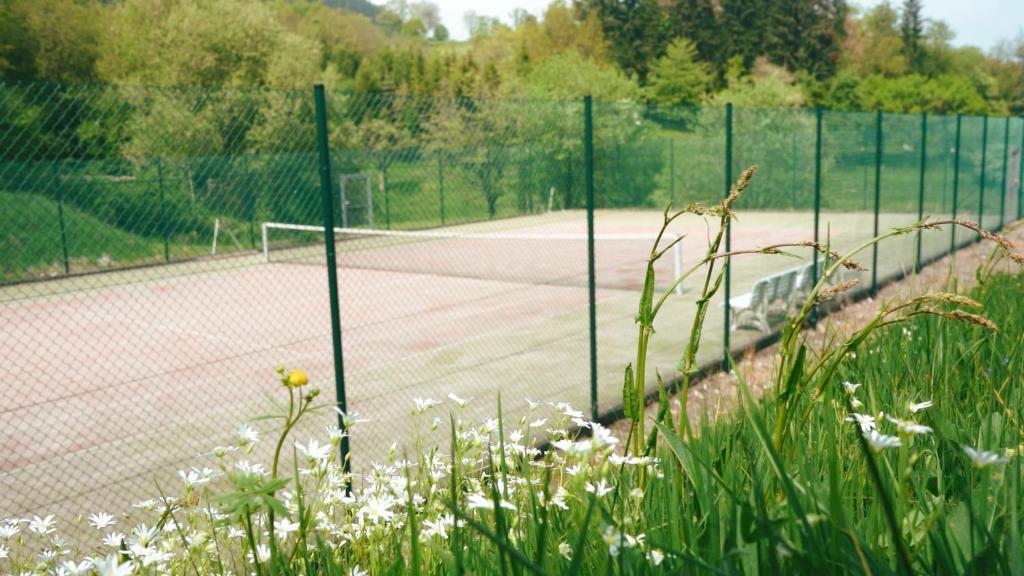 Tenis a/nebo squash v ubytování Hotel Hesborner Kuckuck nebo okolí