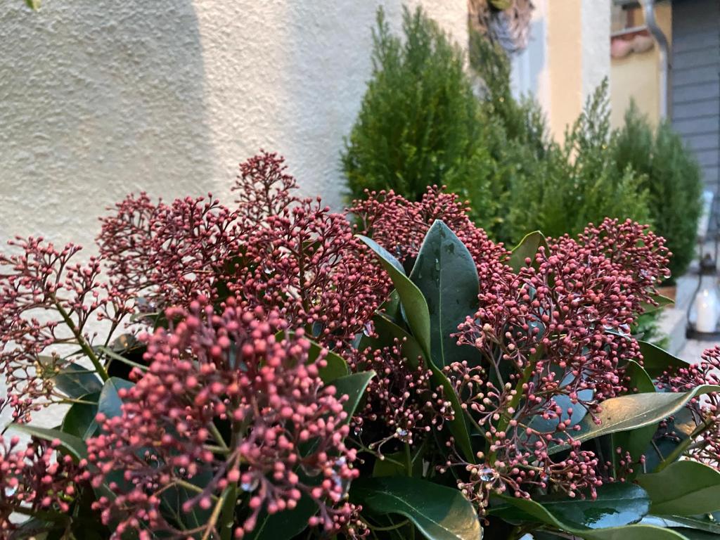 Hotel Aarhus City Apartments - Resim 33