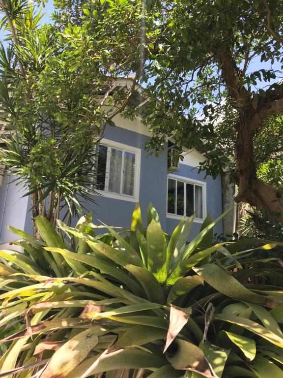 una casa azul detrás de algunos árboles y plantas en Casa no Centrinho 100m do Mar, en Bombinhas