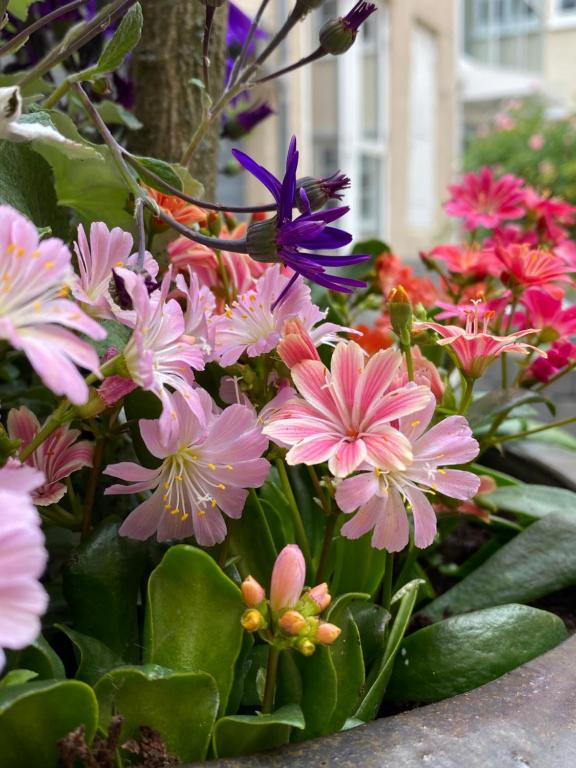 Hotel Aarhus City Apartments - Resim 36