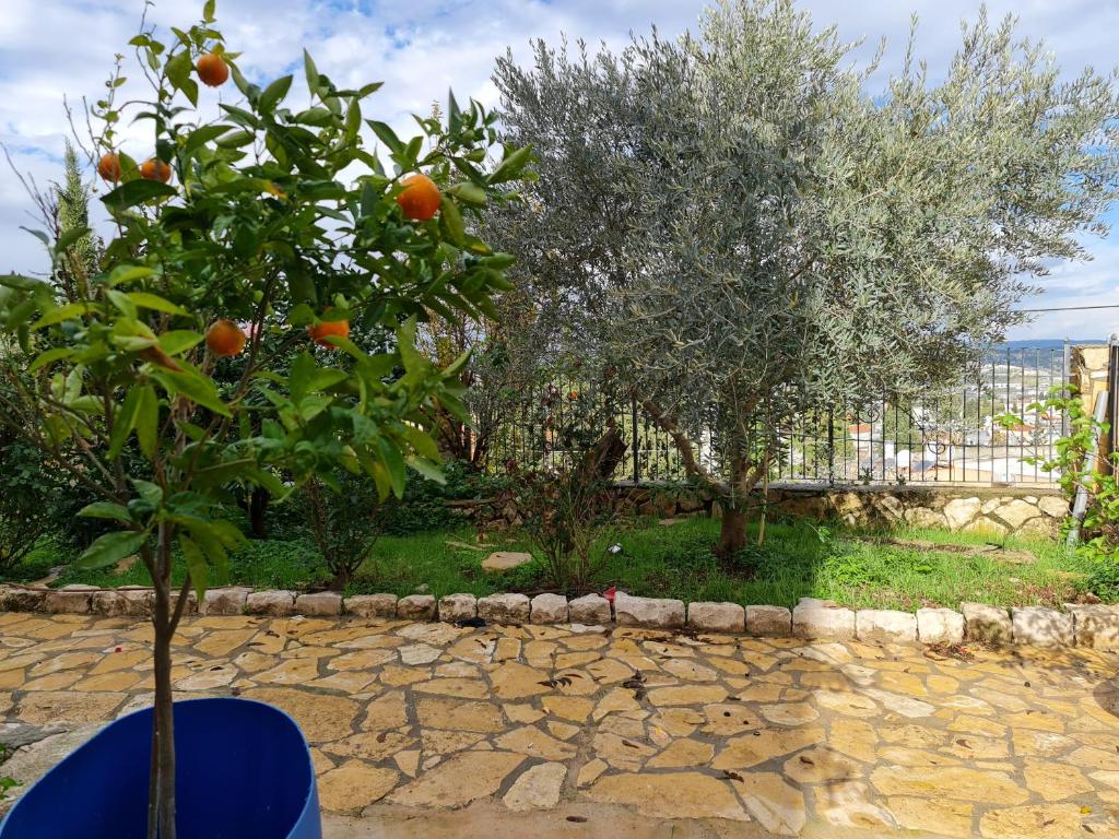SAMA Tarshiha - Two-Bedroom Apartment