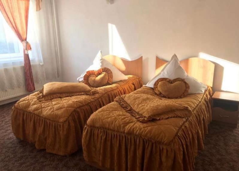 two beds with hearts on them in a hotel room at Pensiunea Ursulet in Alexandru cel Bun
