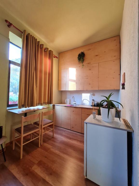 Ex-Block District charming studio apartment with treeish sorrounding view! - Imazhi 6