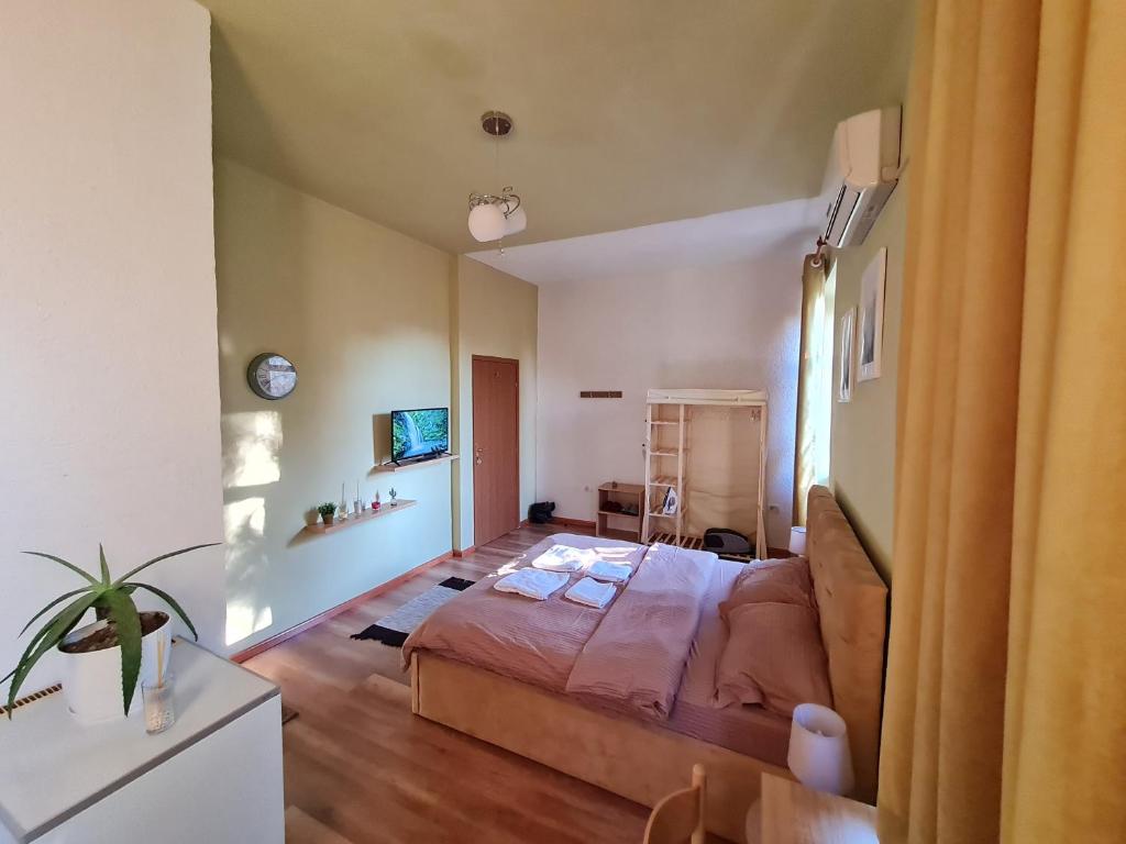 Ex-Block District charming studio apartment with treeish sorrounding view! - Imazhi 9