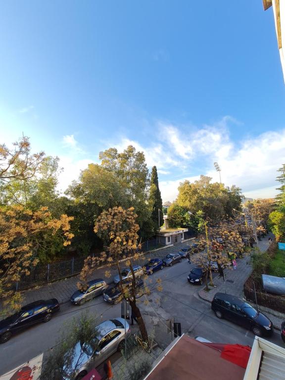 Ex-Block District charming studio apartment with treeish sorrounding view! - Imazhi 4