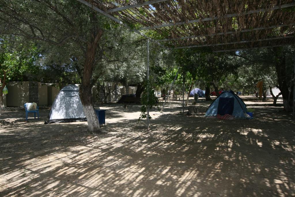 two tents in a park with trees and shadows at Camping Koula in Parikia