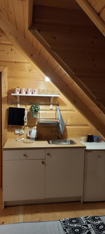 Kuchyň nebo kuchyňský kout v ubytování Grażynka