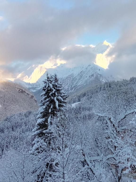 Vue Mont Blanc exceptionnelle