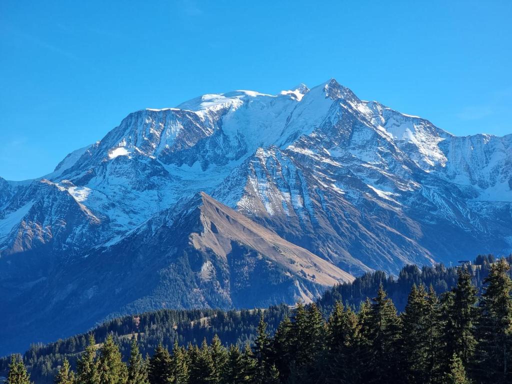 Vue Mont Blanc exceptionnelle