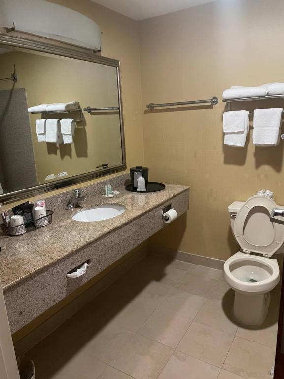 Quality Inn Vineland - King Room - Niet -roken