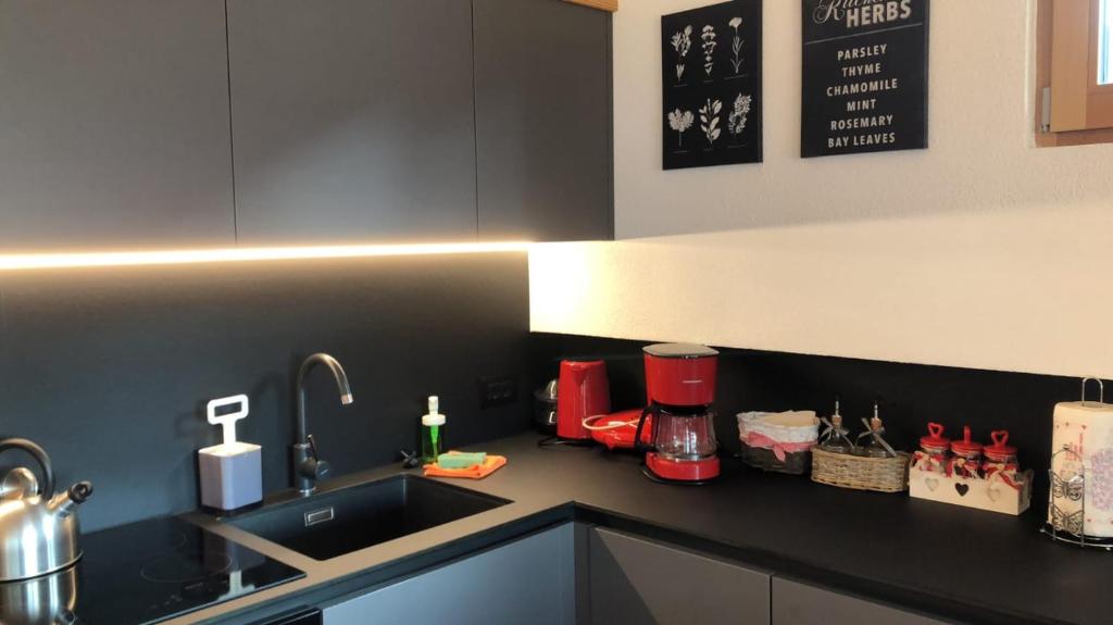 A kitchen or kitchenette at Cèsa Prinoth