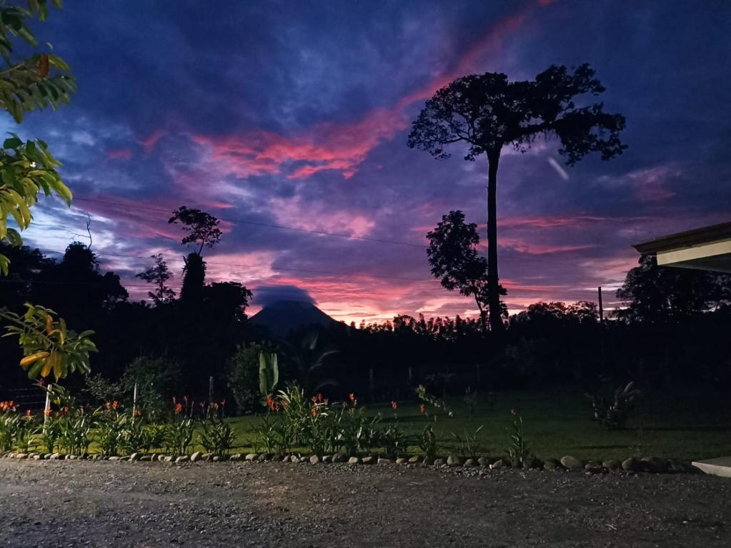 a sunset with a palm tree in a yard at Villa Ceiba in Fortuna