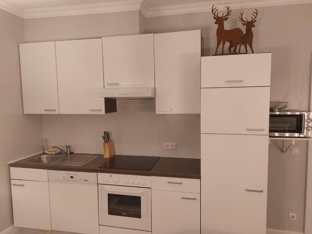 Kuchyň nebo kuchyňský kout v ubytování Grenzberg Appartements