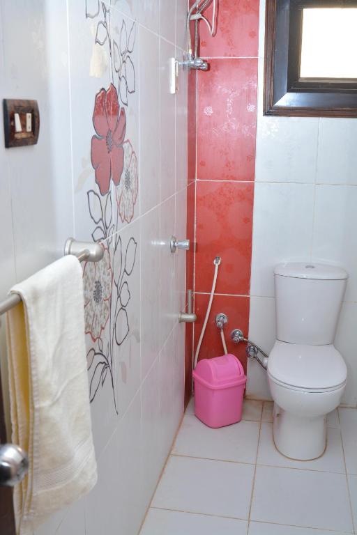 ASWAN NILE PALACE (swimming pool-rooftop-Nile view) - 18