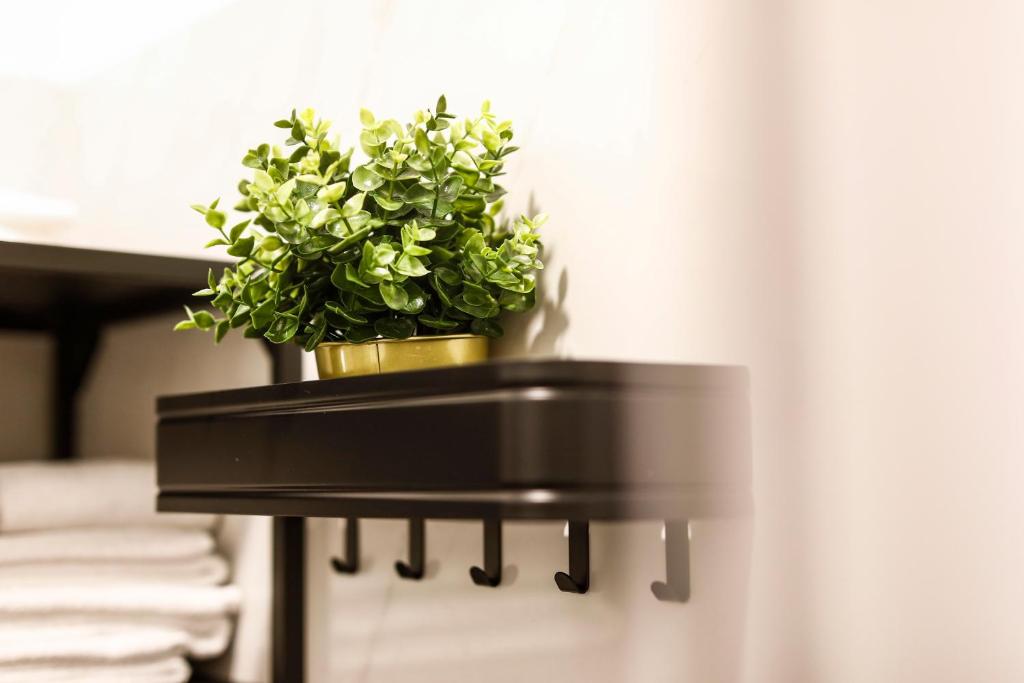 Sleephotels Casino - Resim 38