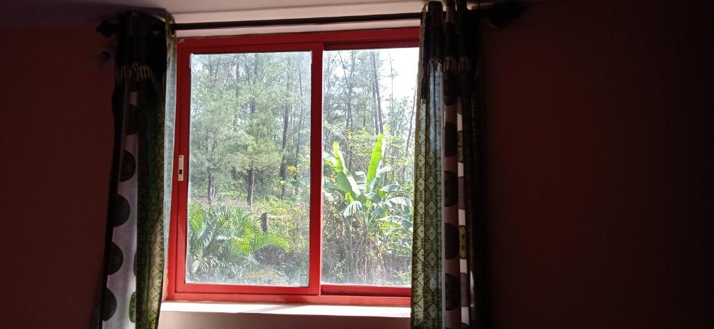 Zahrada ubytování Coorg West End Home Stay