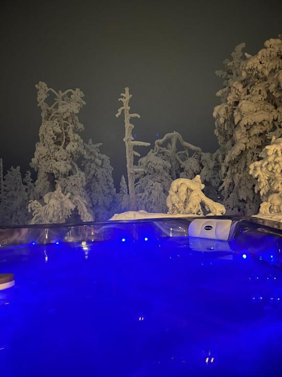 Бассейн в Villa Utsuntuisku или поблизости
