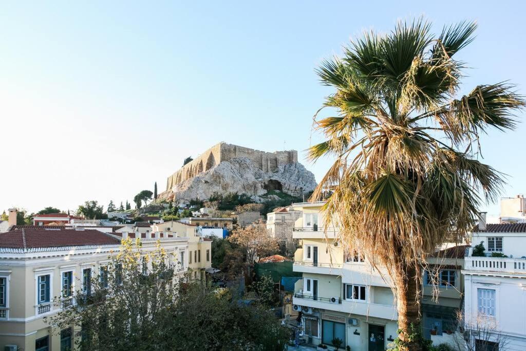 a palm tree in front of a mountain at Acropolis Veranda Residence in Athens