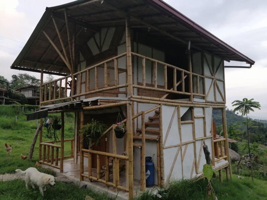 ein Haus im Bau mit einer Ziege draußen in der Unterkunft Cabaña independiente en Granja Agroecologica in Anolaima