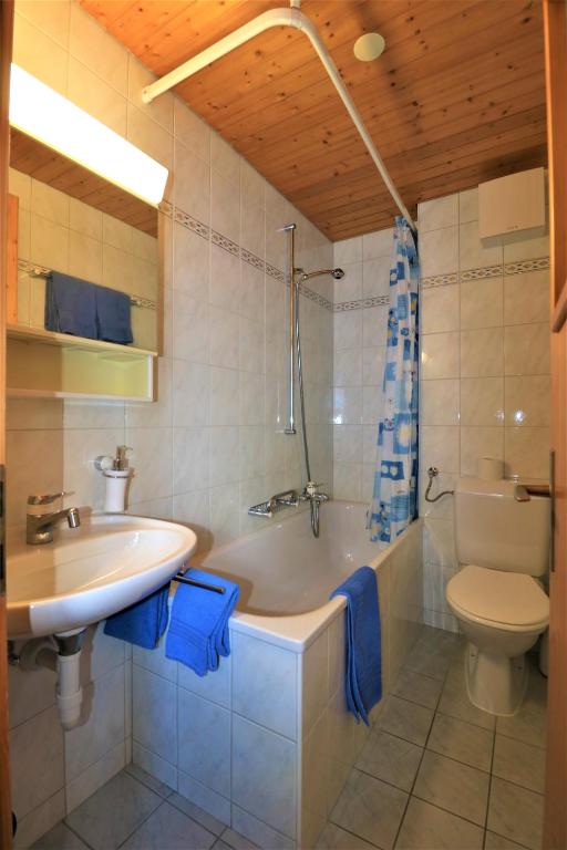 Koupelna v ubytování Chalet Ideal Saas-Fee
