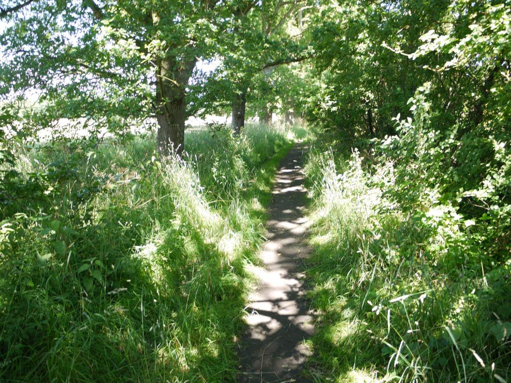 The New Inn Hotel - Resim 34