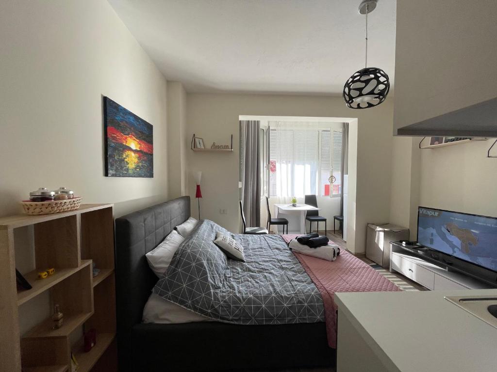 - une chambre avec un lit et un salon dans l'établissement Lovely one bedroom studio in Tirana, à Tirana