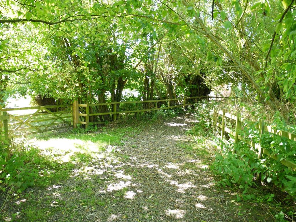 The New Inn Hotel - Resim 36