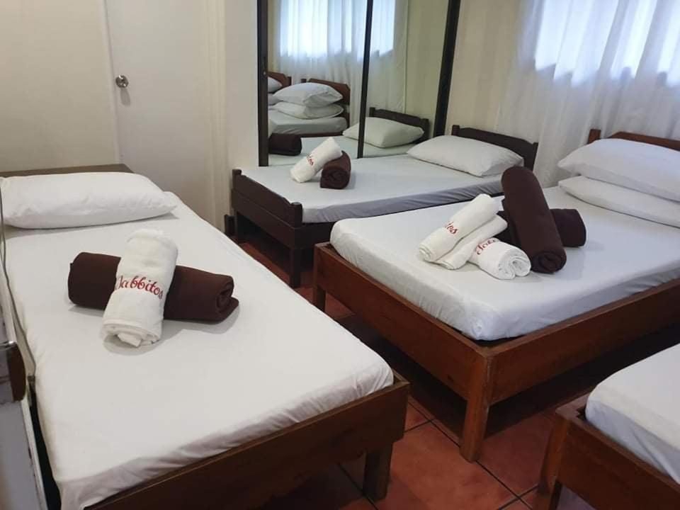 Postel nebo postele na pokoji v ubytování Jabbitos Baguio Transient House BUNGALOW