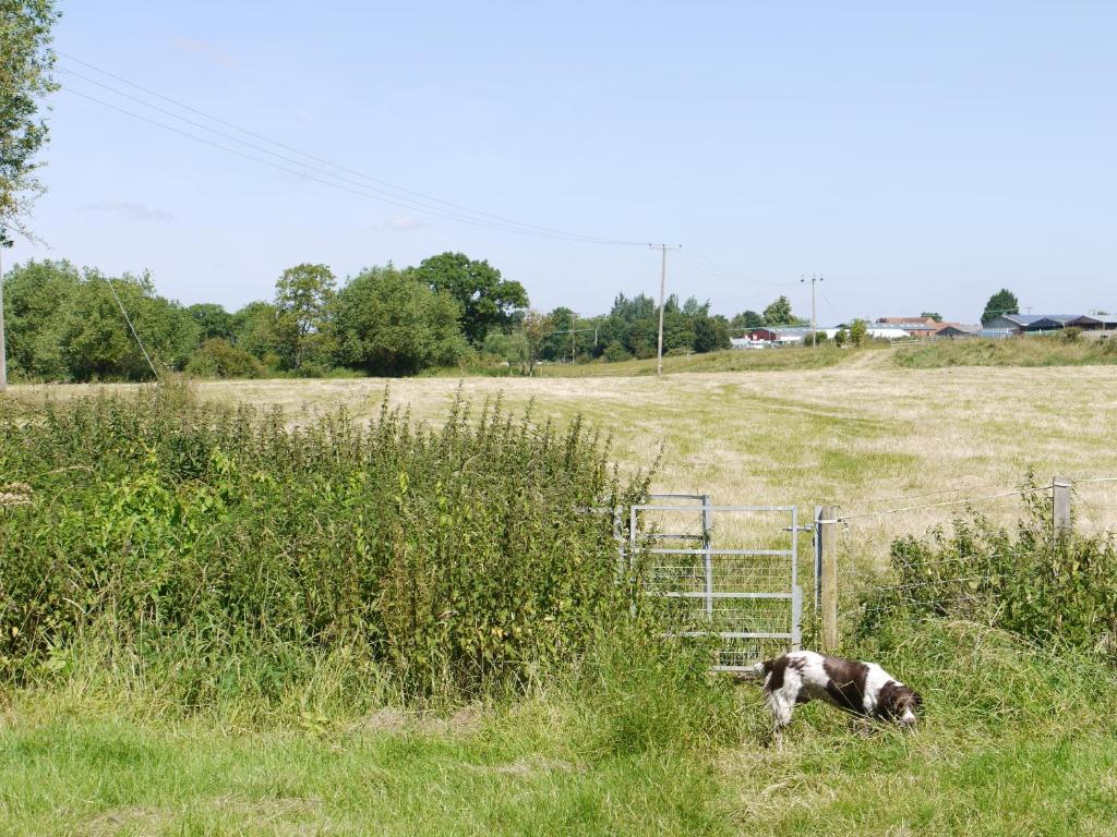 The New Inn Hotel - Resim 39